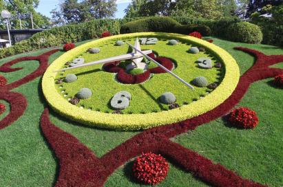 <p>Flower Clock</p>